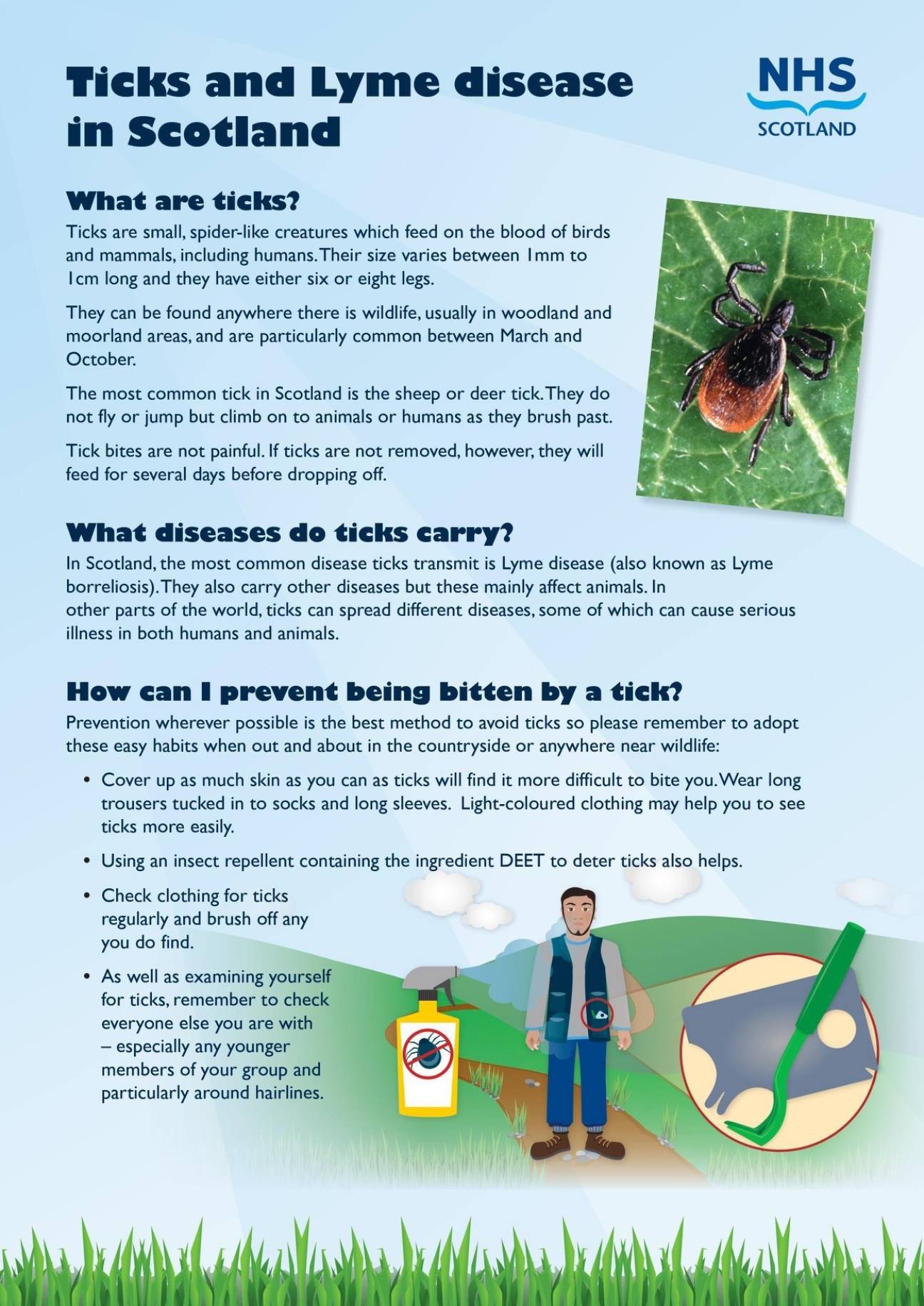 Ticks and Lyme disease in Scotland Flyer