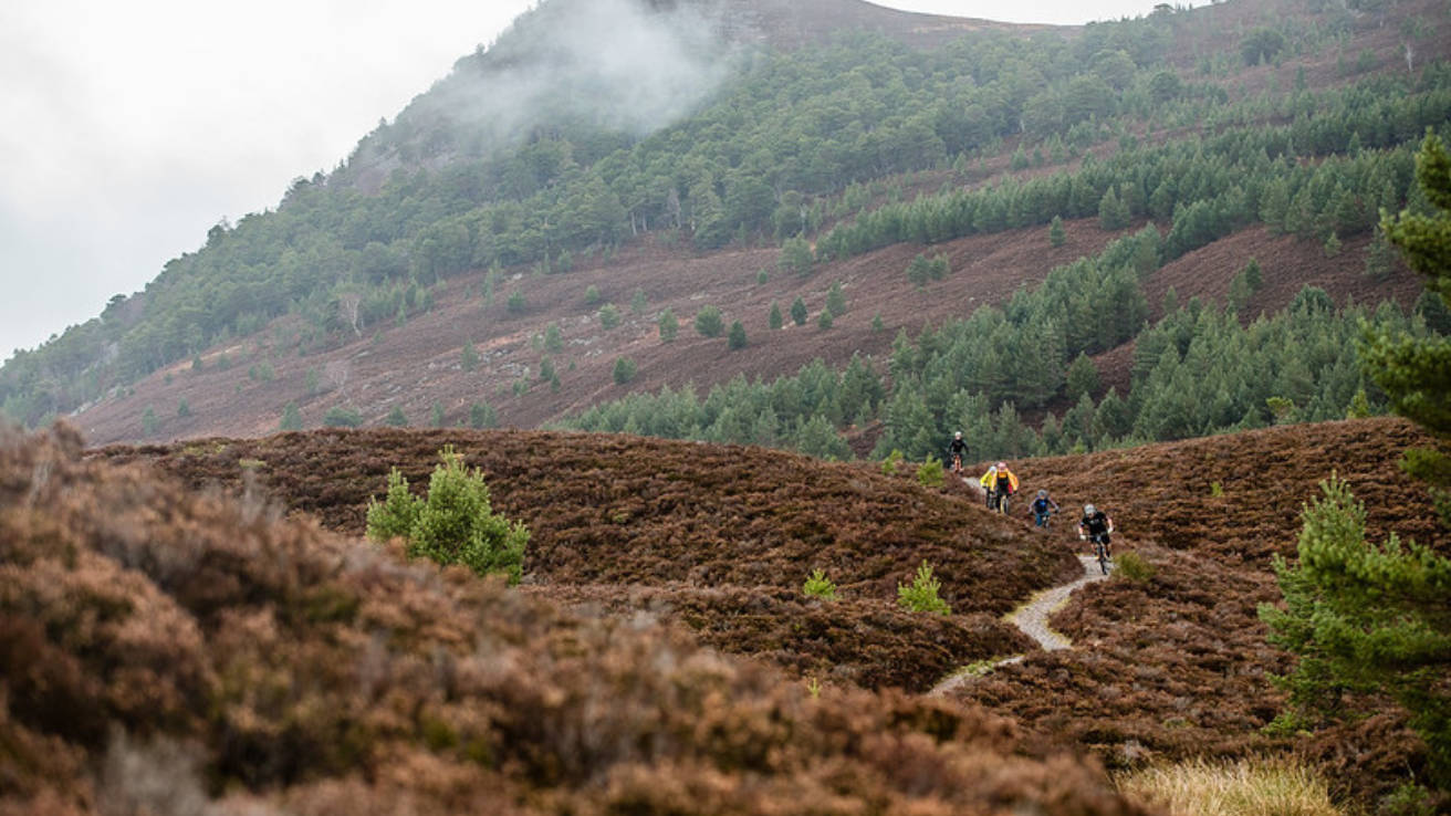 Medium cairngorms