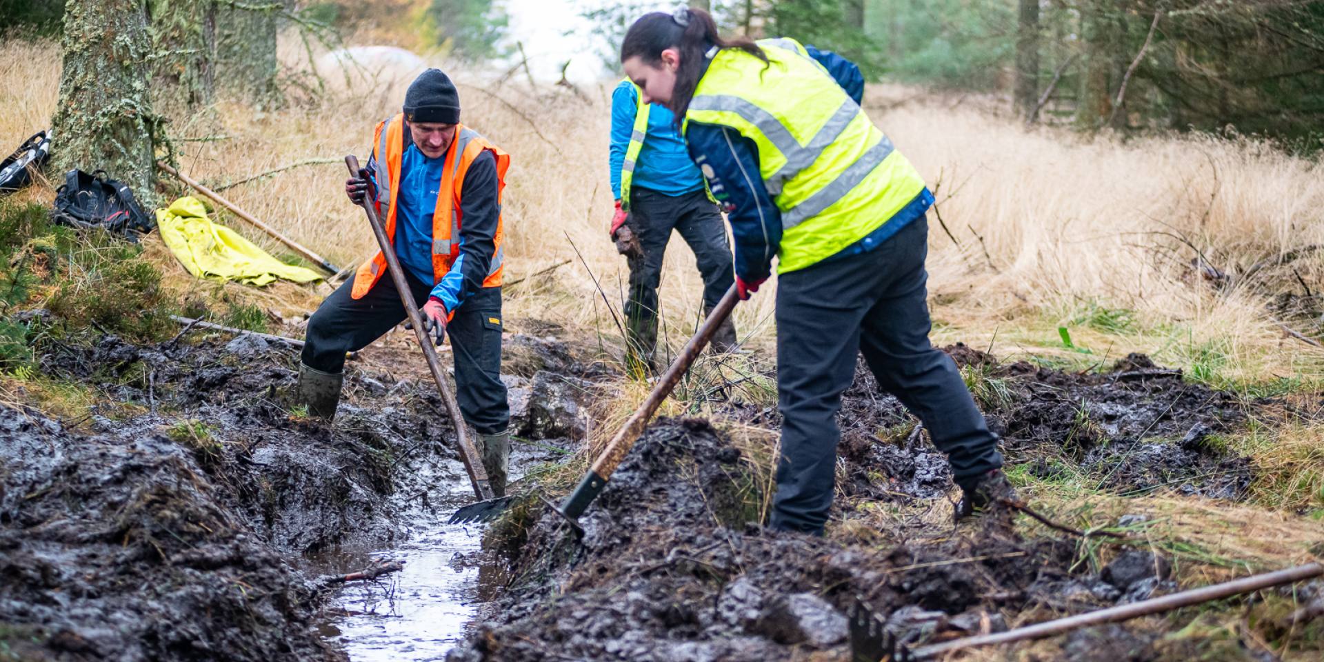 ATA Dig Day - Credit Pete Scullion