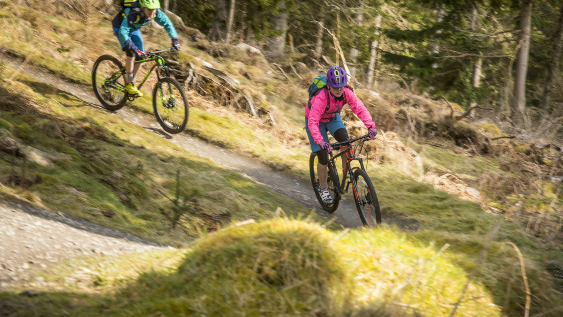 7stanes Refresh Credit Frog Bikes