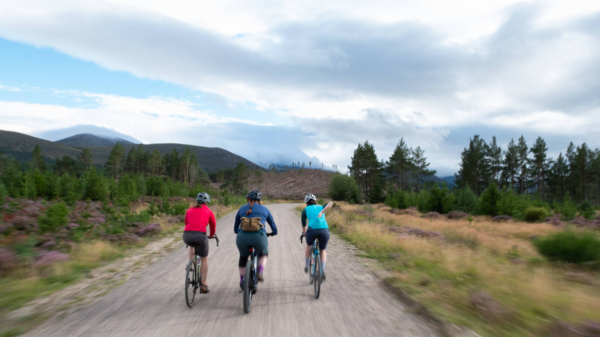 Aviemore DM Bin S Adrw Lnstr Phto 58