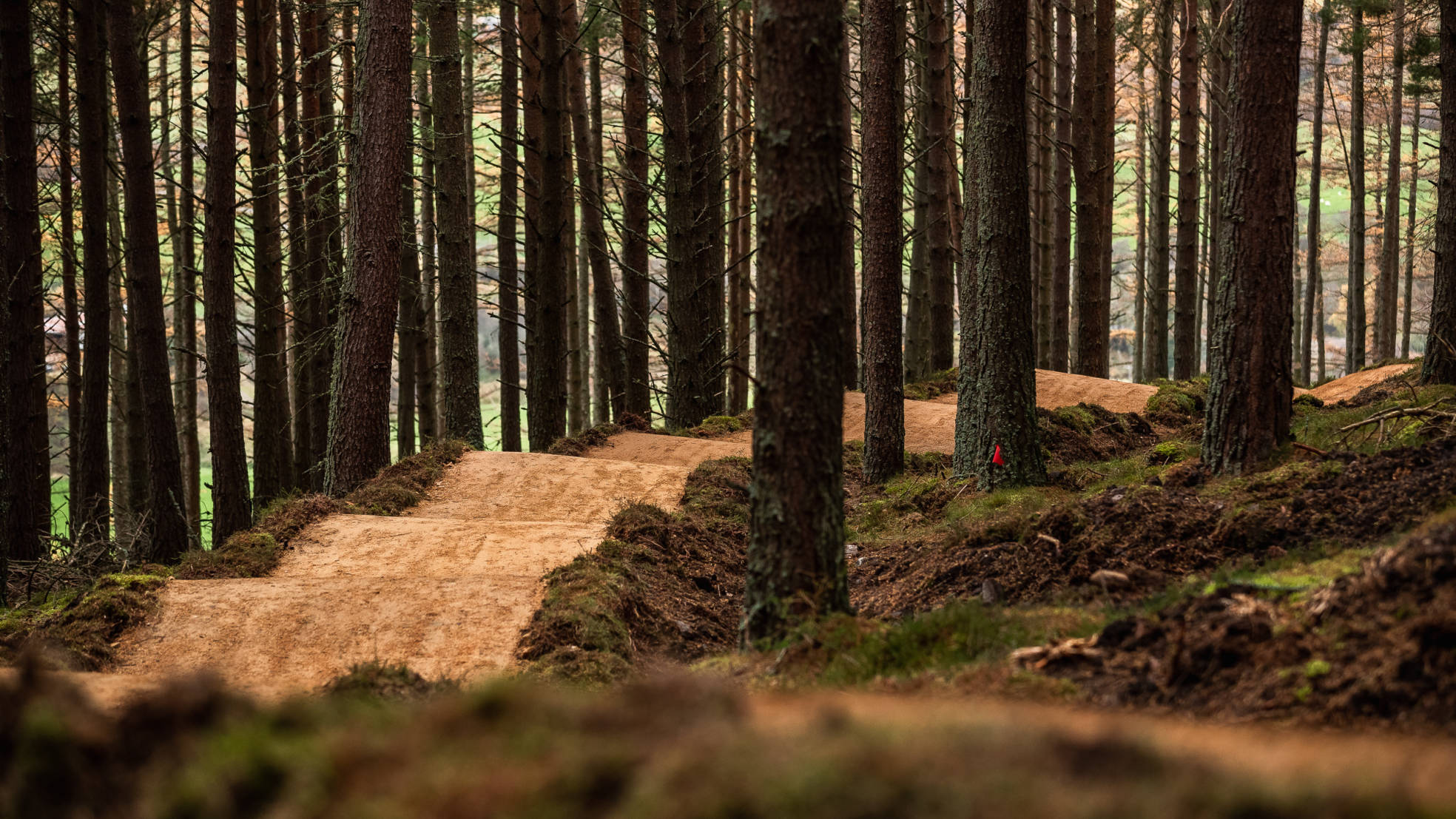CRC Glenlivet Quick Selects RB 3
