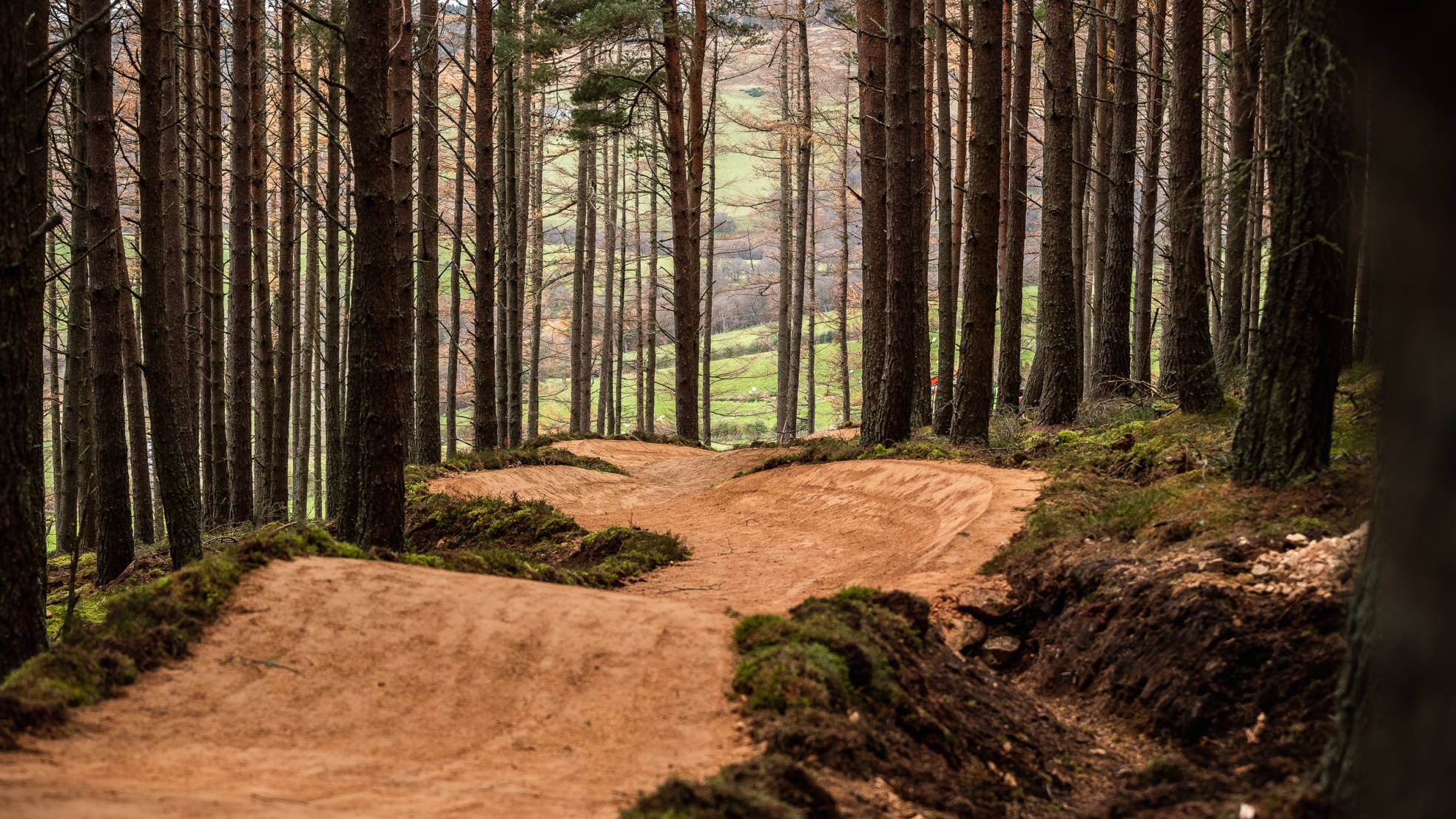 CRC Glenlivet Quick Selects RB 4