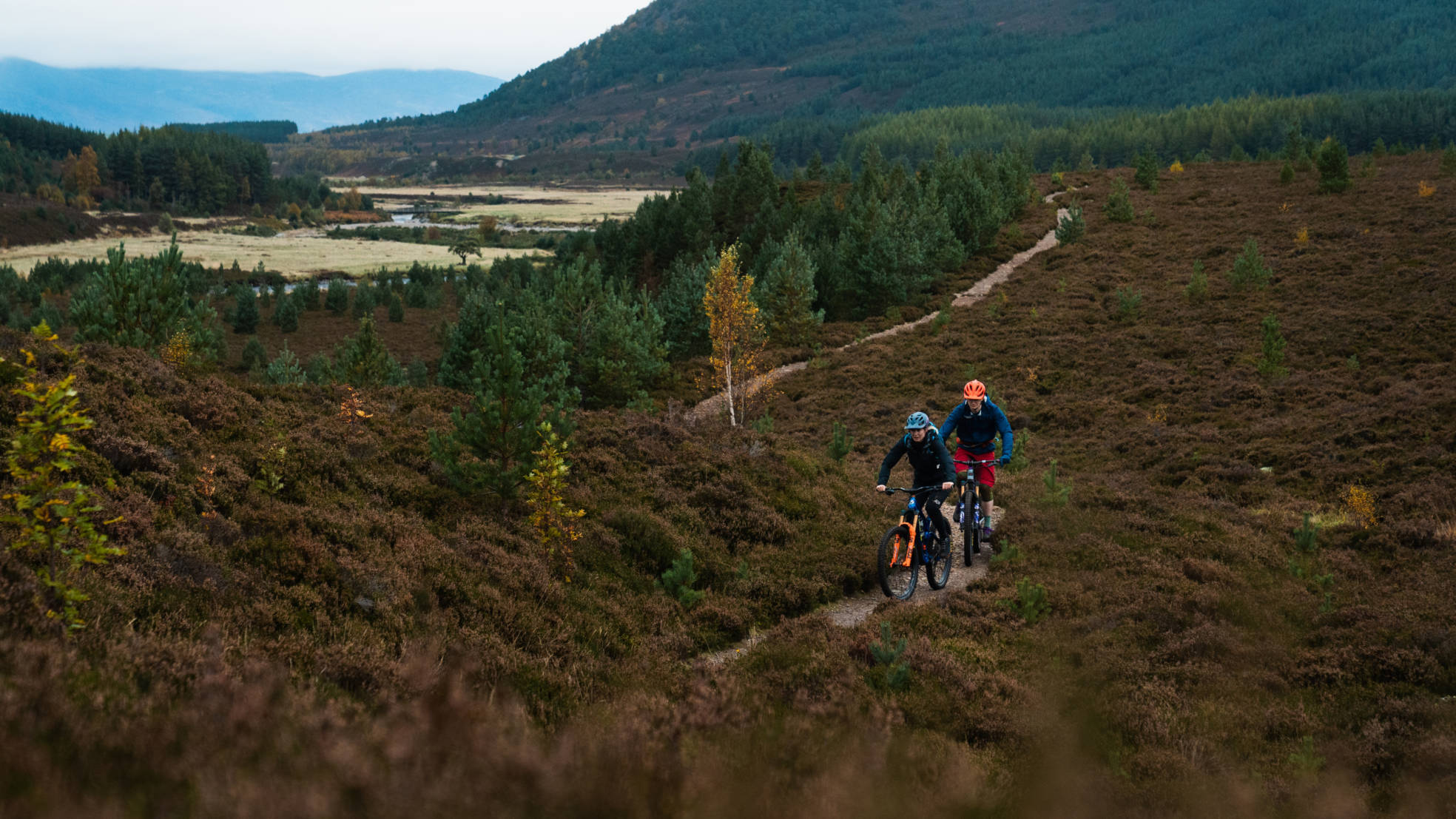 DM Bin S Cairngorms 42