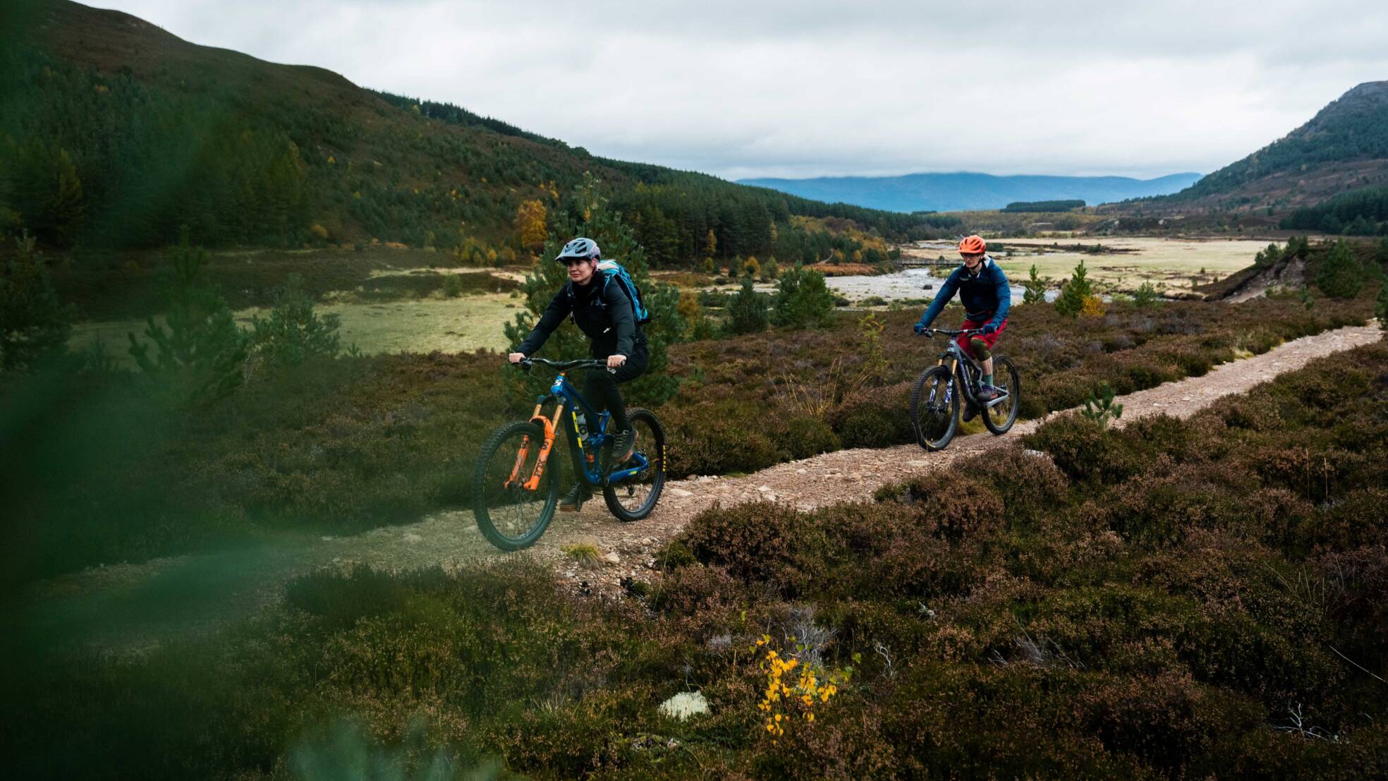 DM Bin S Cairngorms small