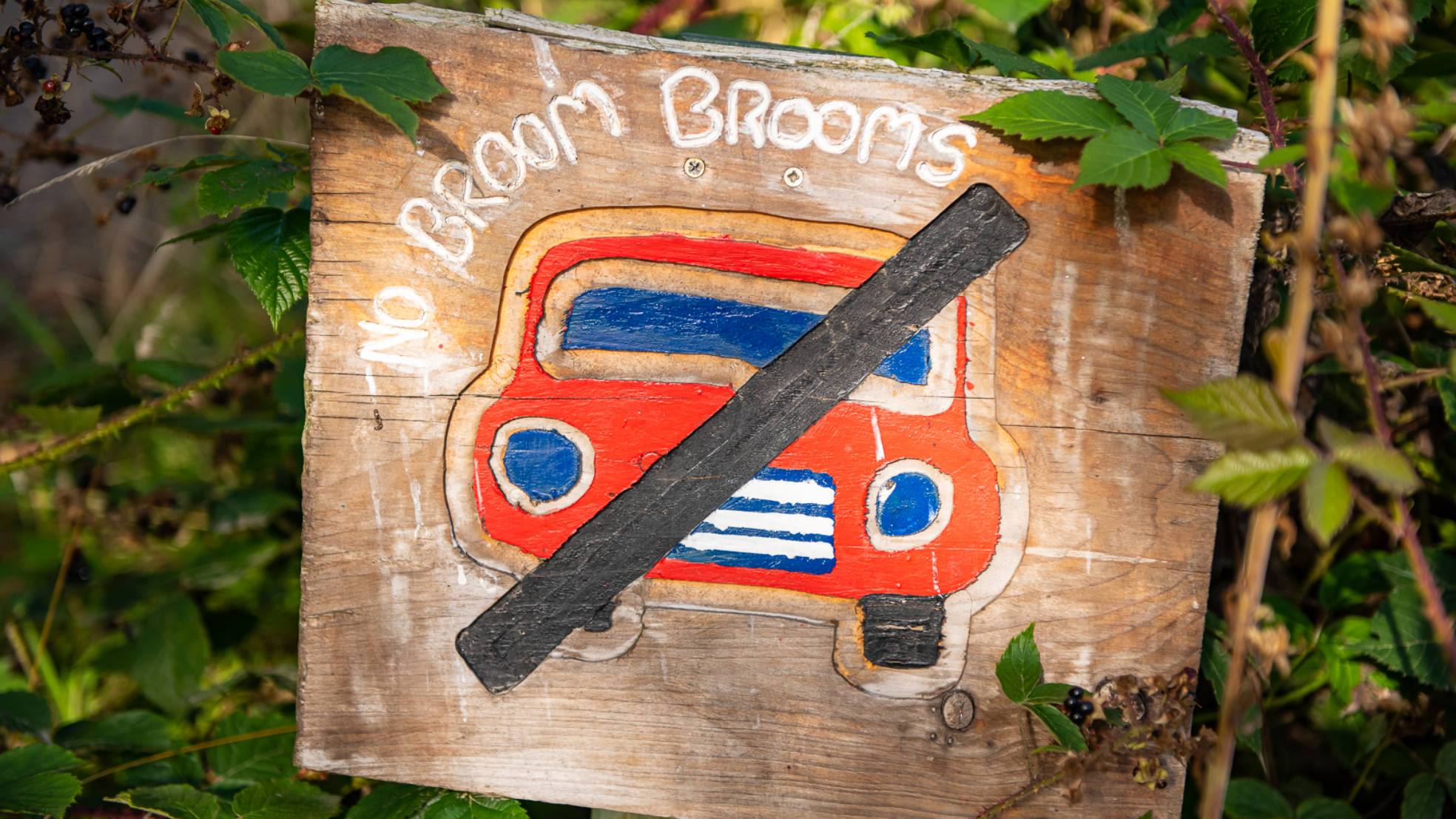 DM Bin S MTB4 ALL Comrie Croft 02