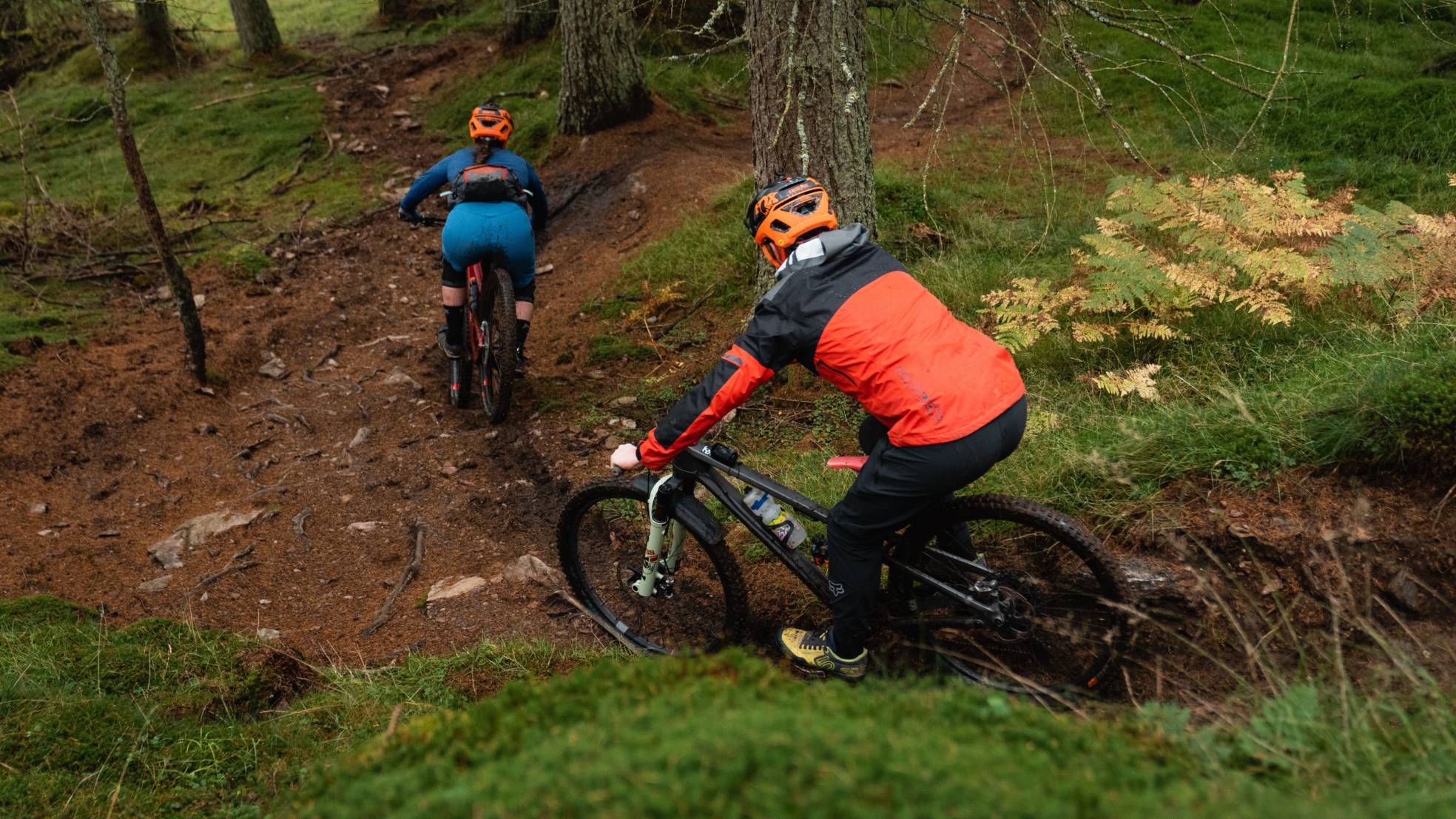 DM Bin S Perthshire Dunkeld2