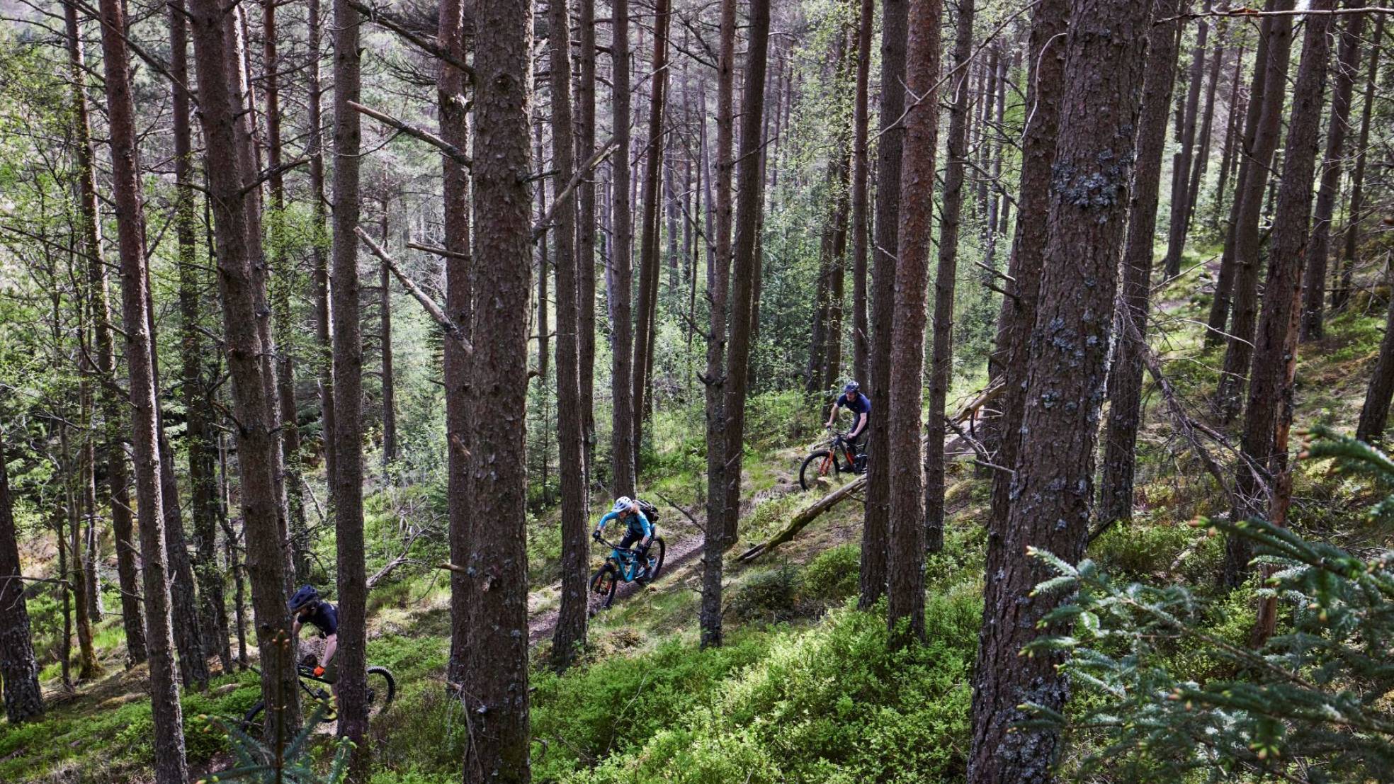 Laggan Wolftrax Ed Smith 34 cropped