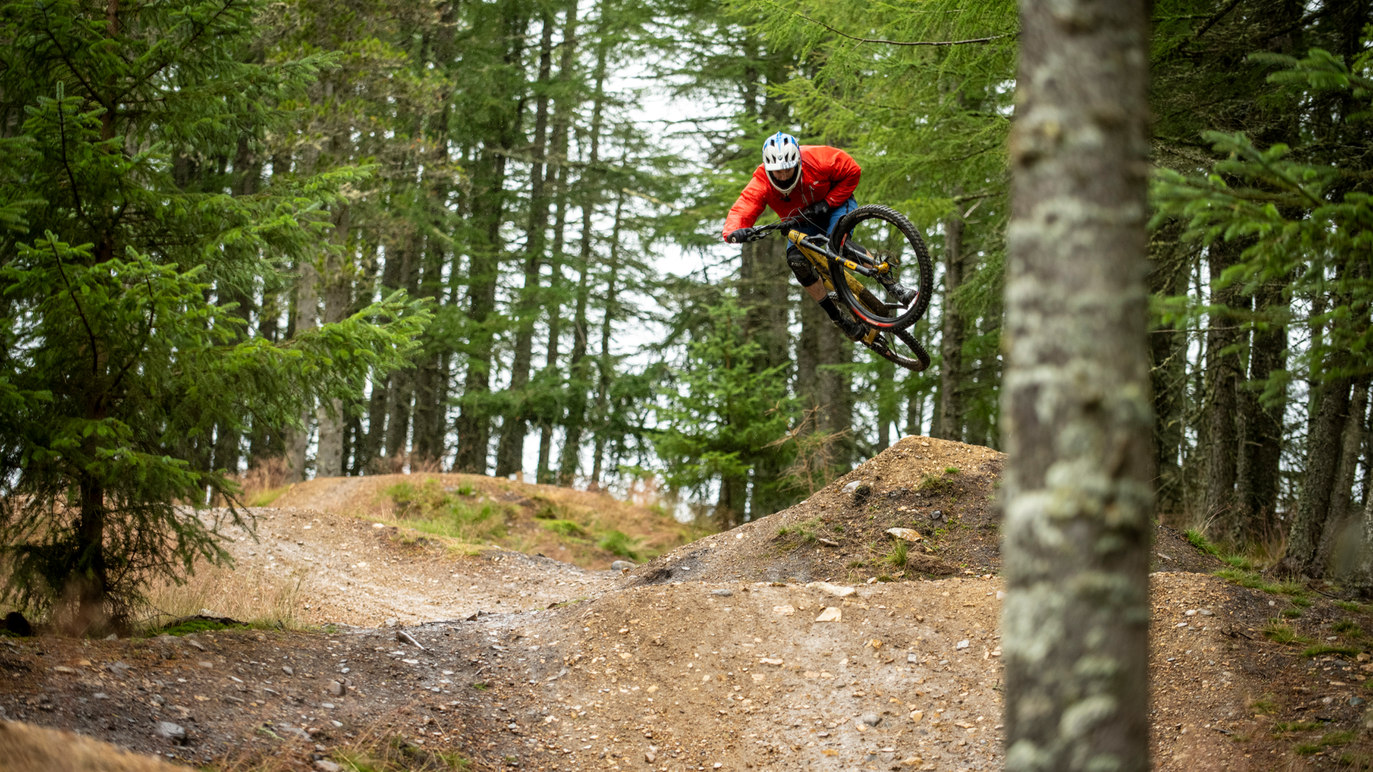 Singletrack Sampler The dream mountain bike Scottish vacation! – DMBinS