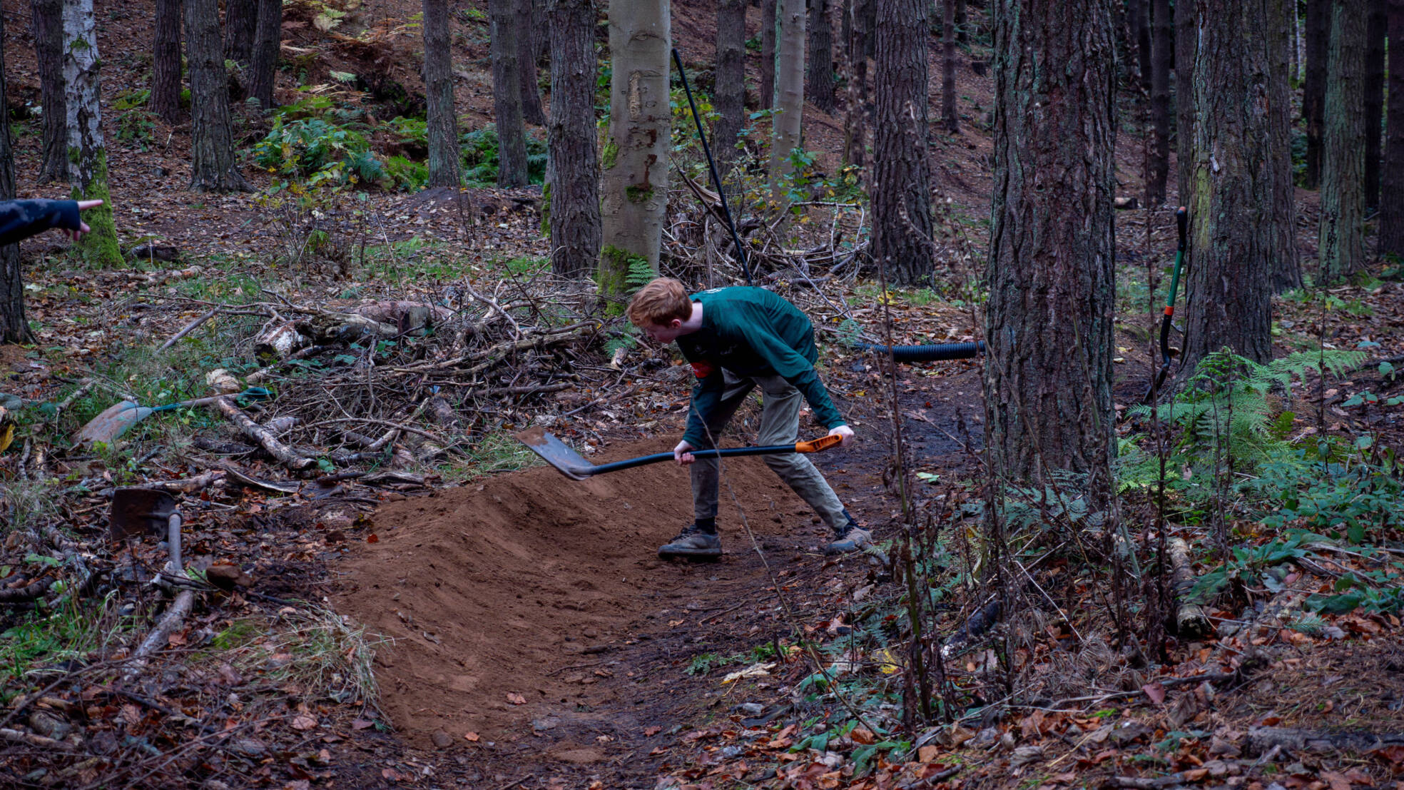 Trail Wild MTB 14