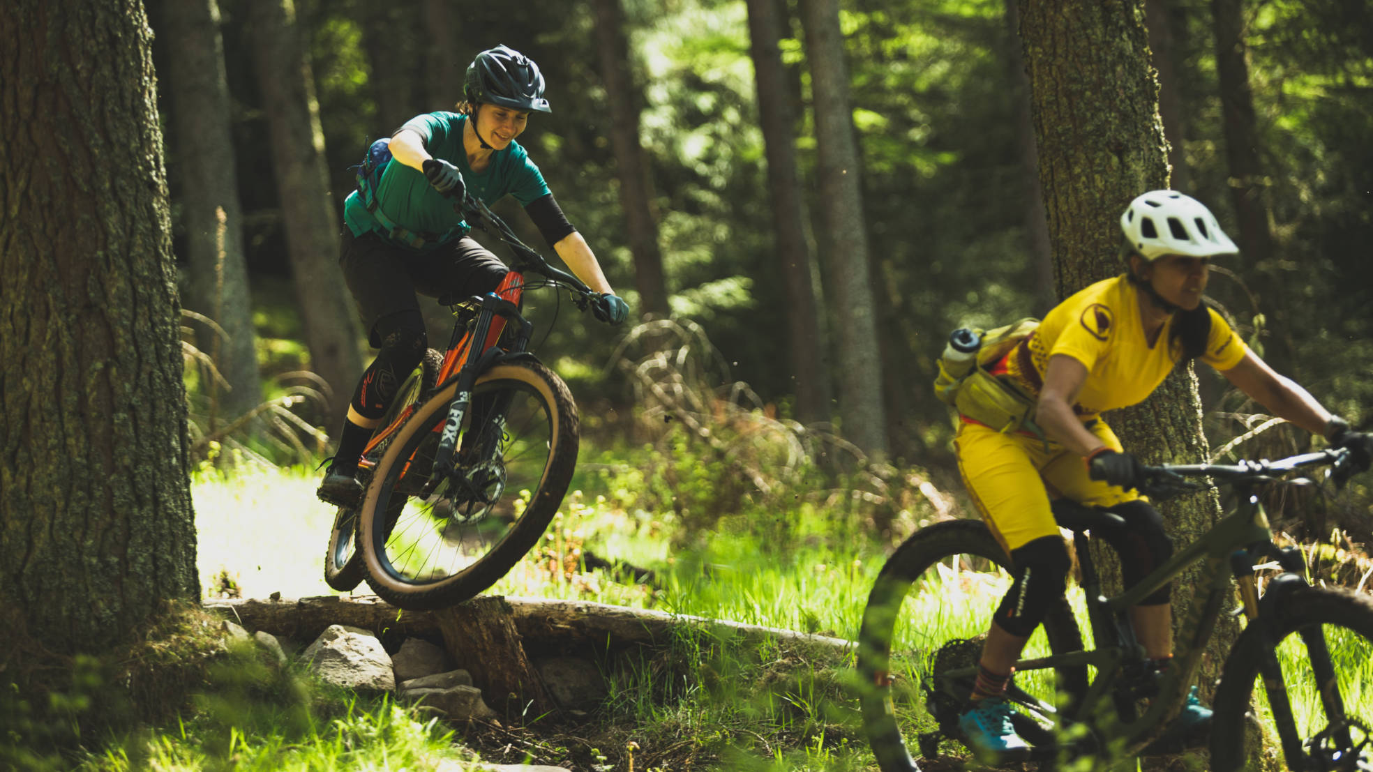 Trails on Trial Aneela