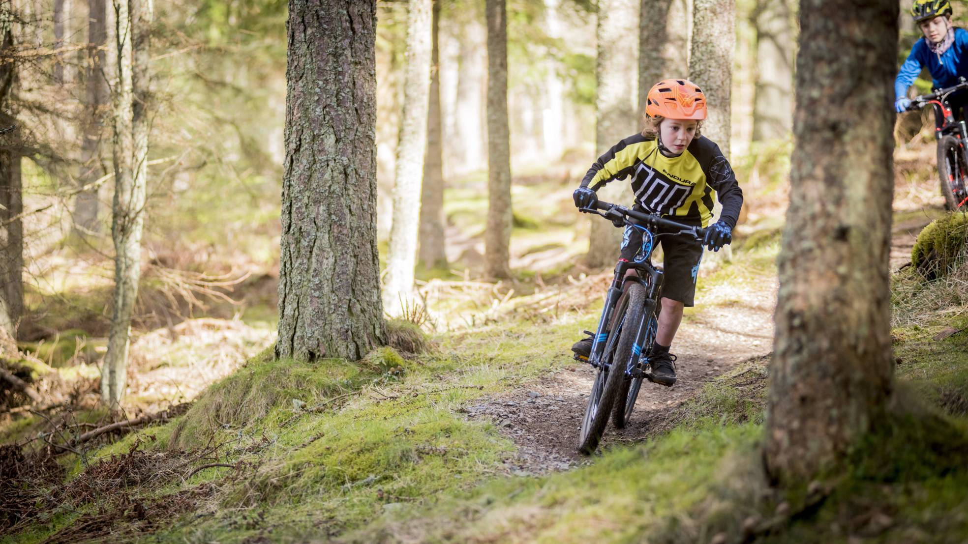 Frog mtb2018 711