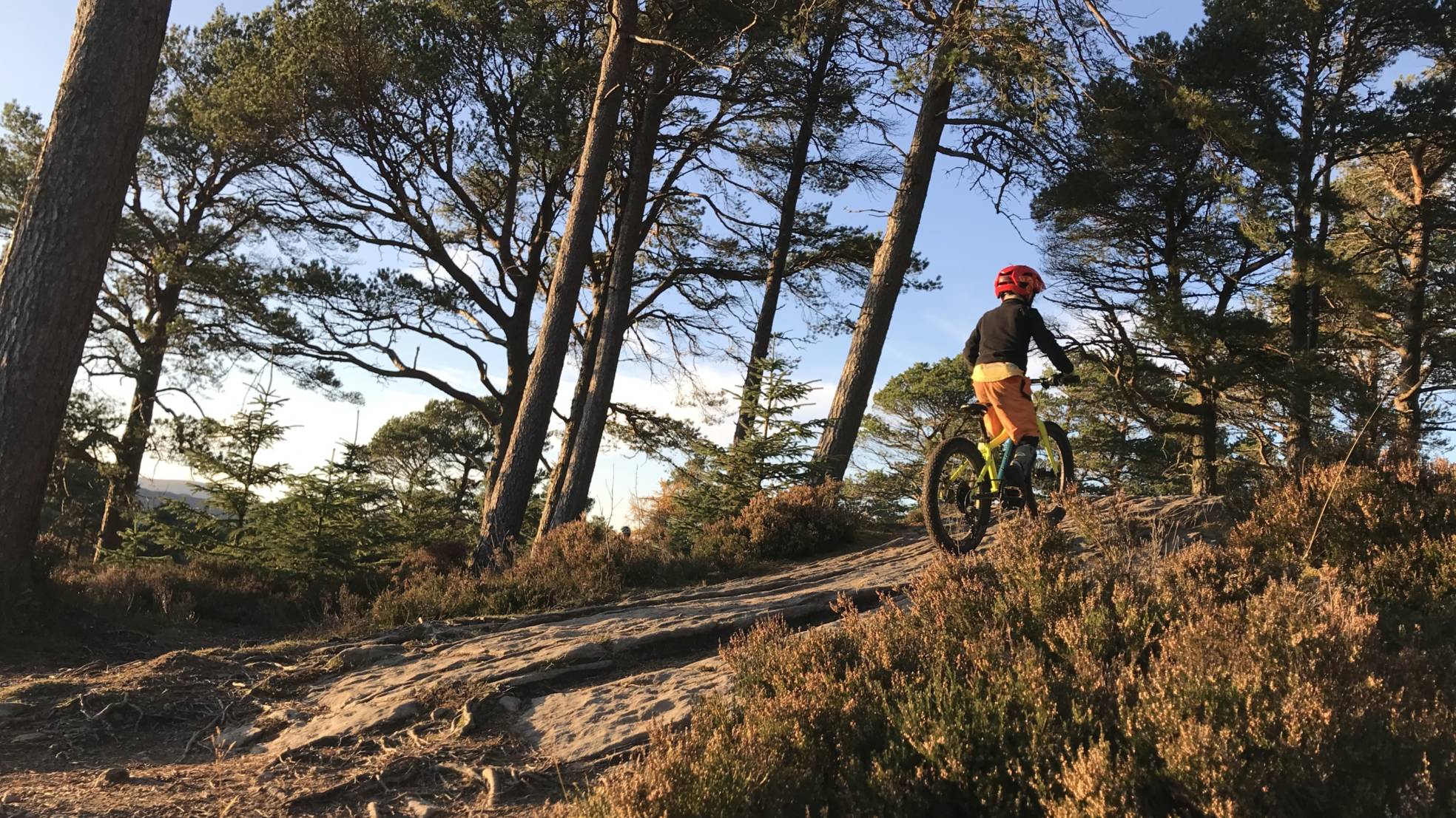 Laggan