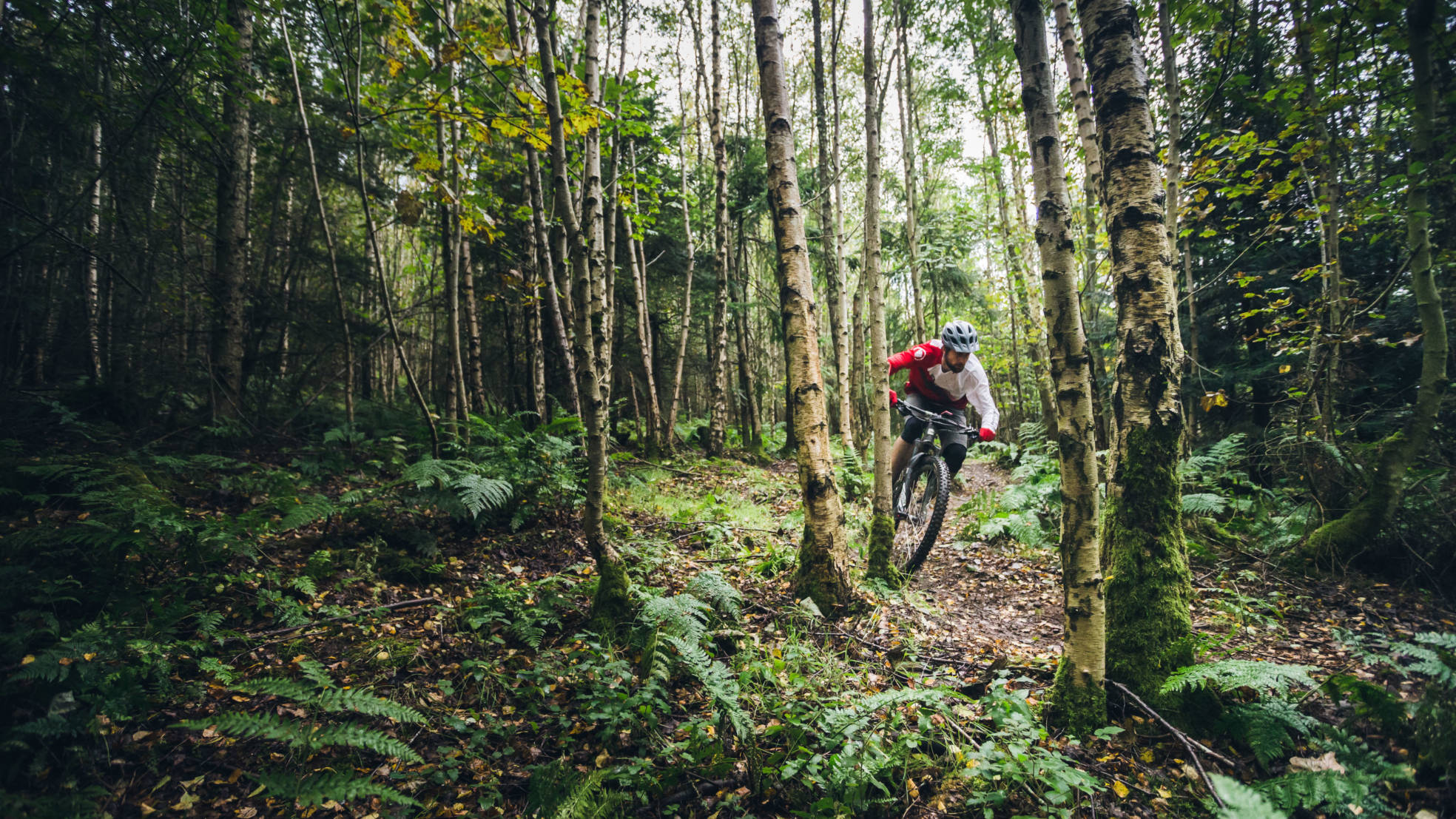Natural riding Credit Trev worsey