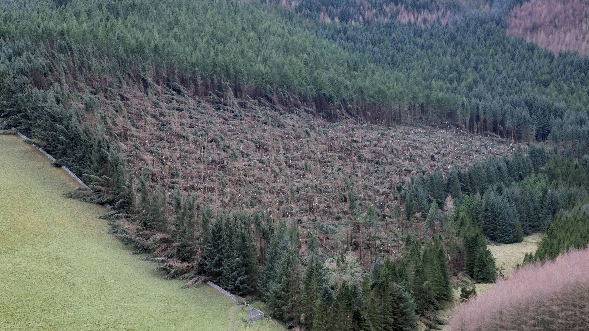 Storm damage