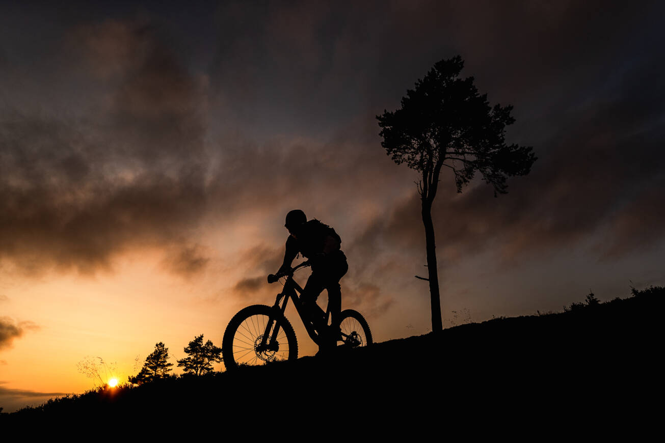 Aberdeenshire Showcase Pinkbike RB 44