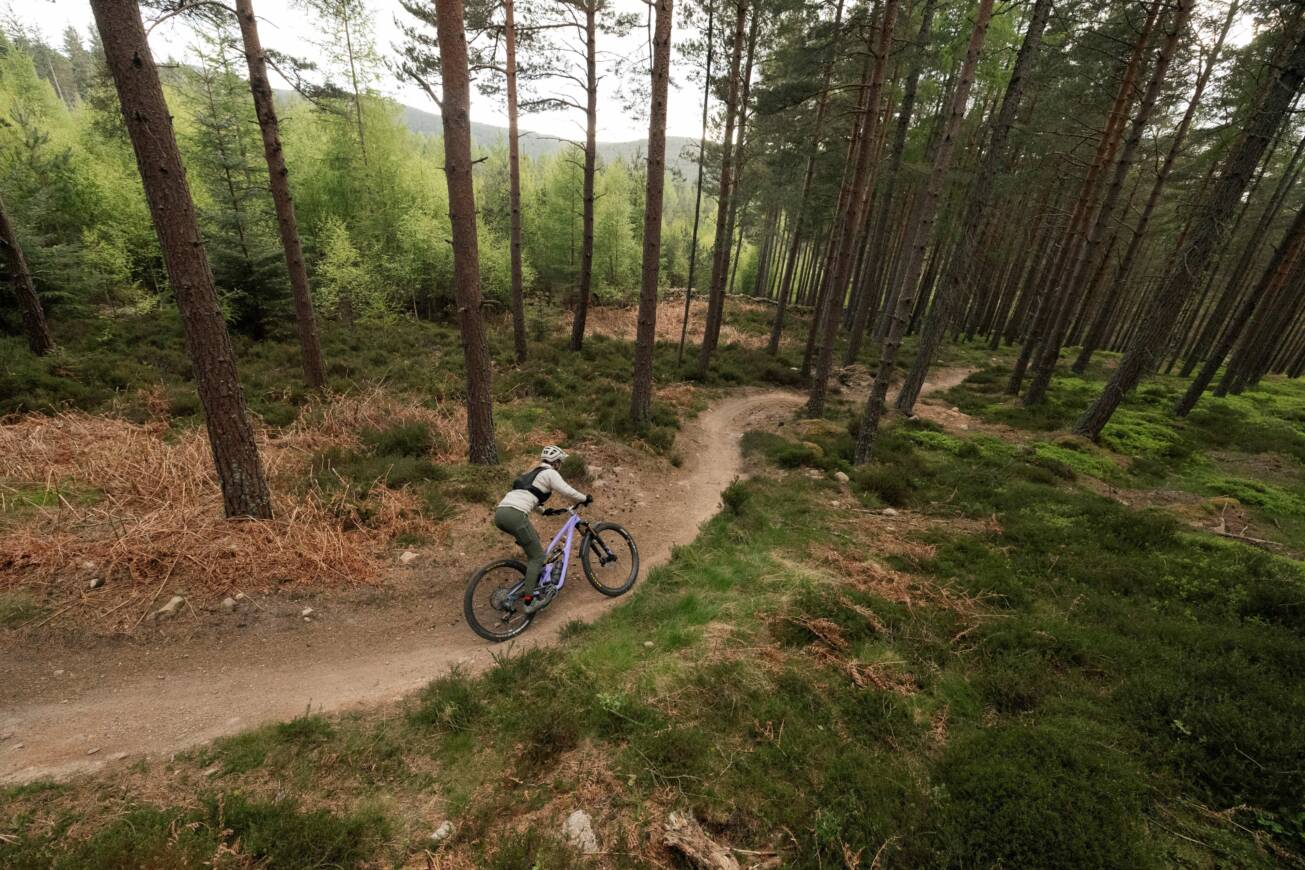 Aboyne 2