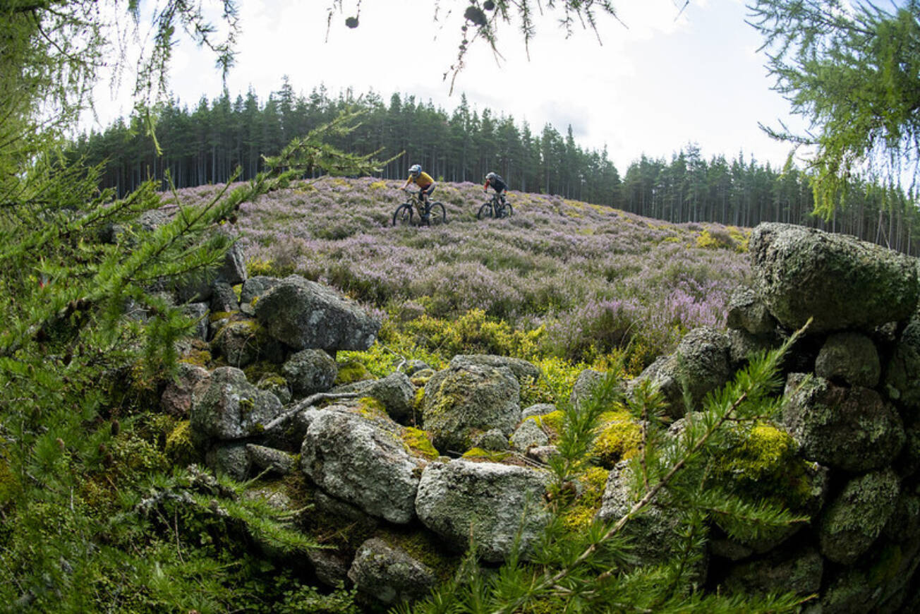 Aboyne 5