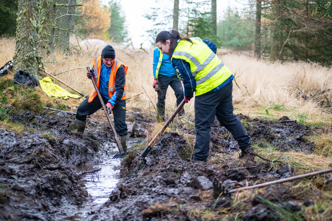 ATA Dig Day - Credit Pete Scullion