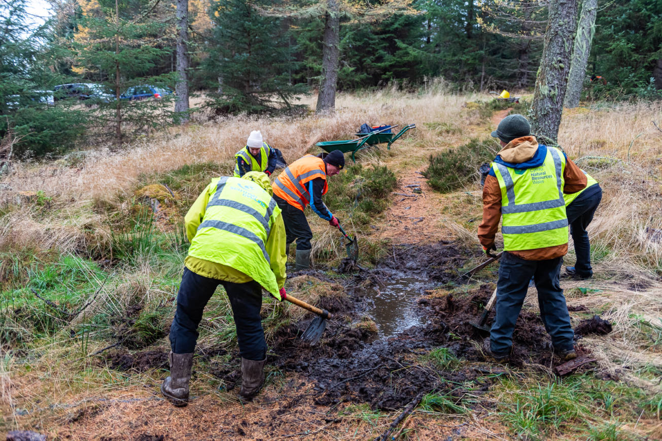ATA Dig Day - Credit Pete Scullion