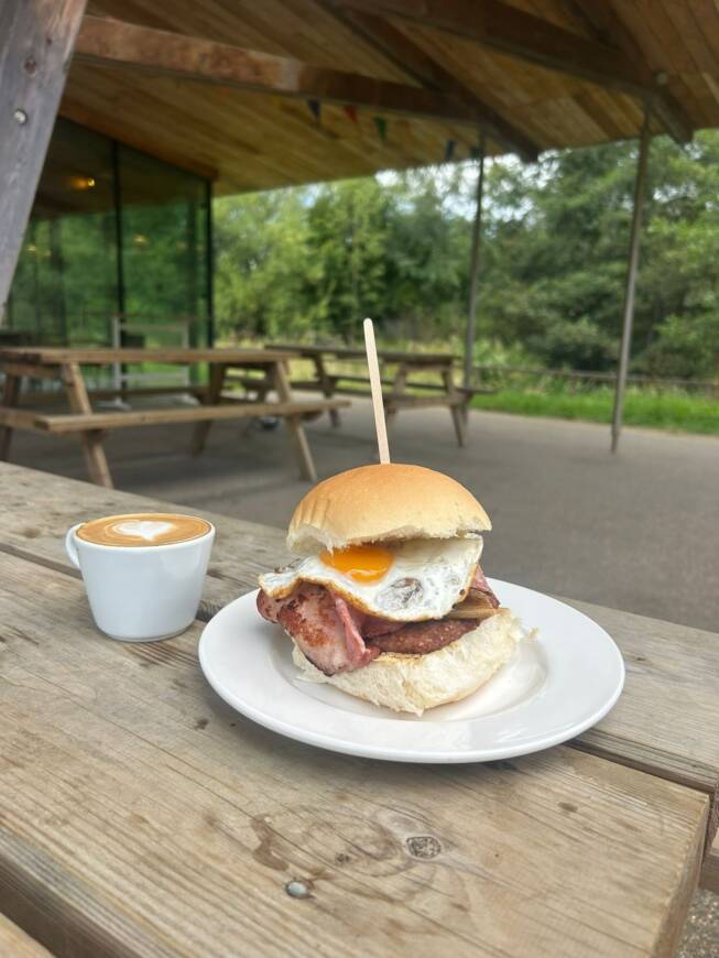 Glentress cafe roll