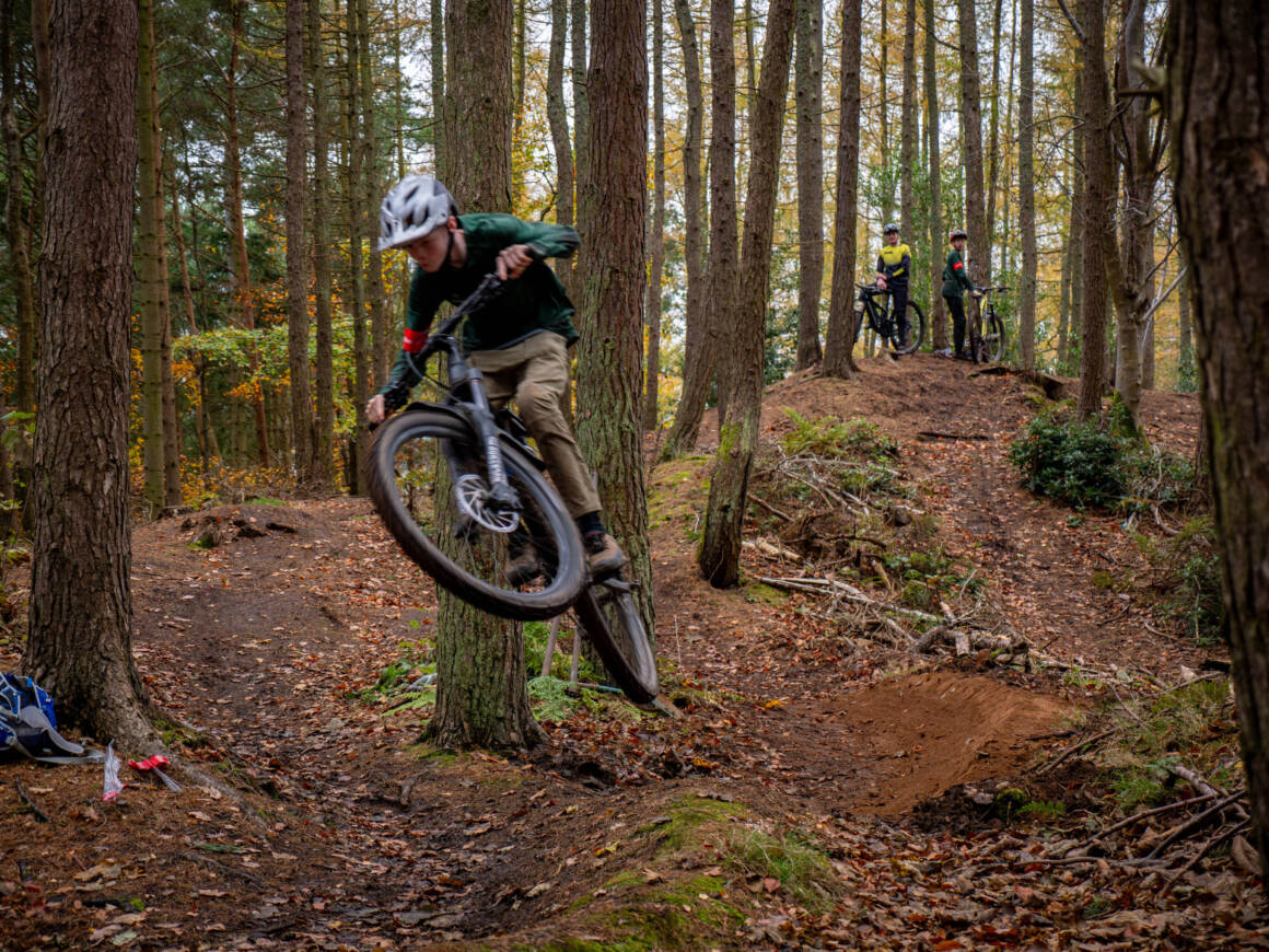 Trail Wild MTB 20