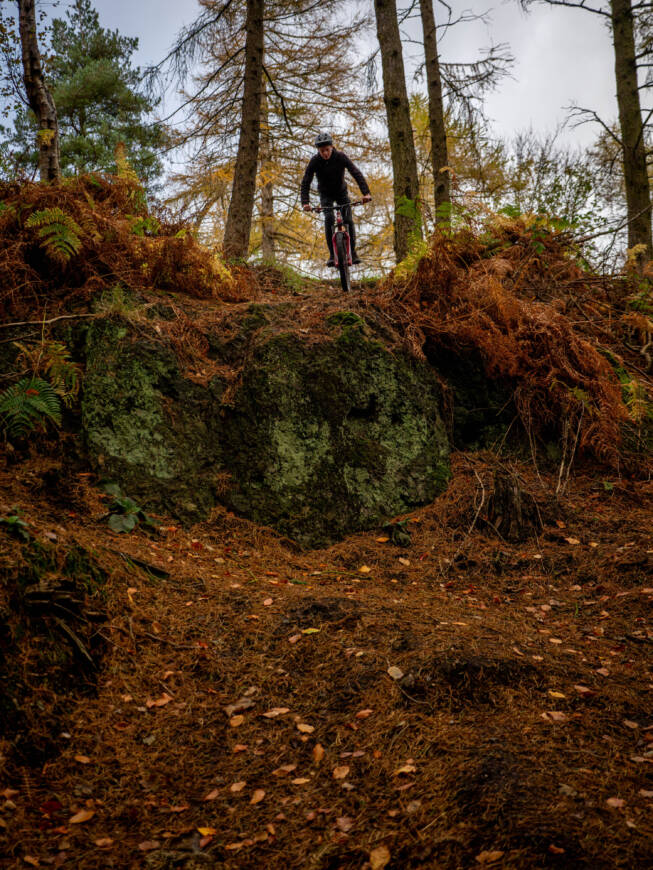 Trail Wild MTB 6