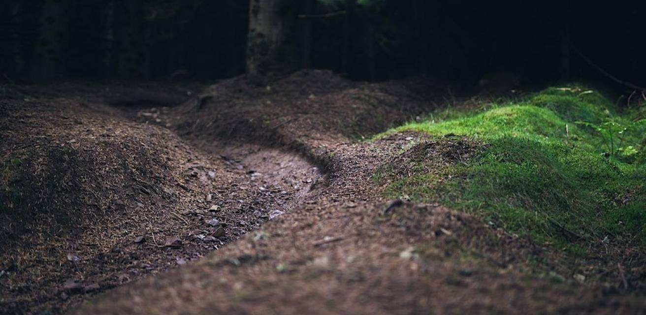 Trail Project
