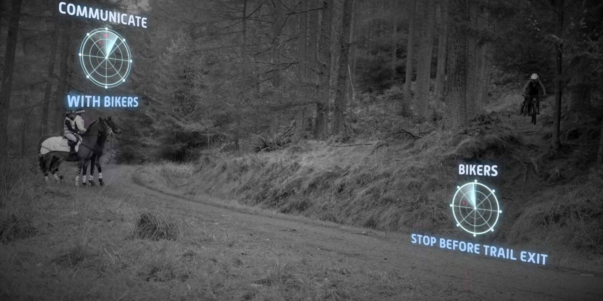 A Shared Forest Video Screenshot