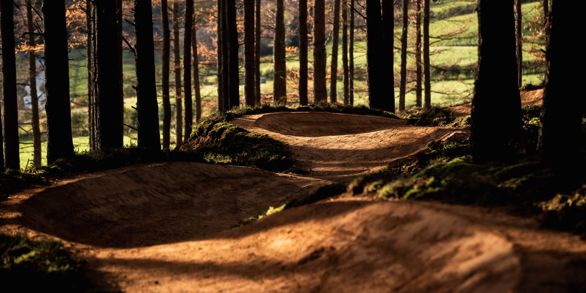 CRC Glenlivet Quick Selects RB 20