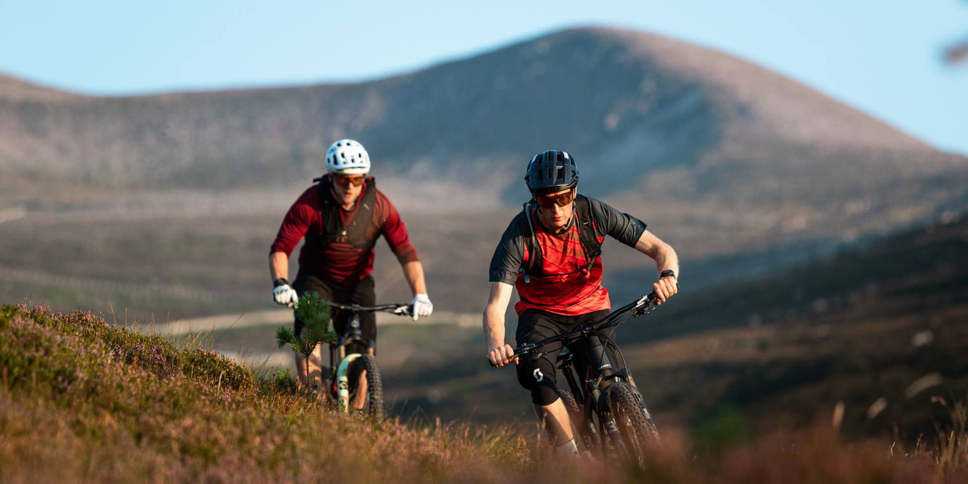 Cairngorms Scotty