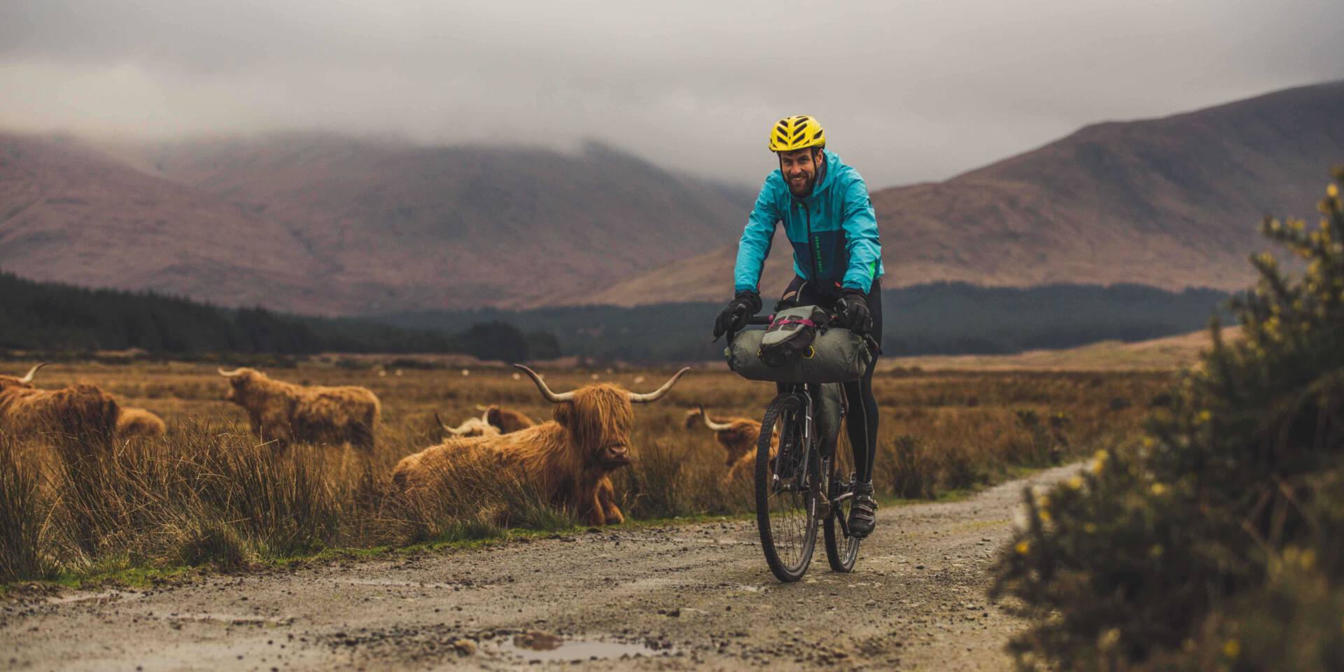 Edward Shoote riding past highland cows in the Scottish Highlands