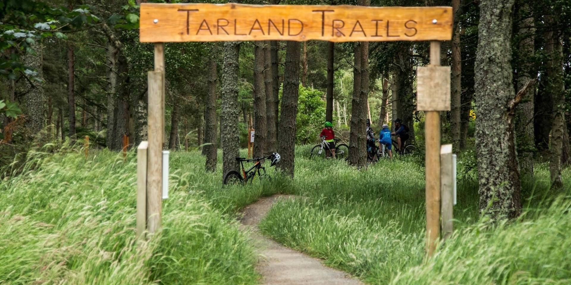 Tarland 2