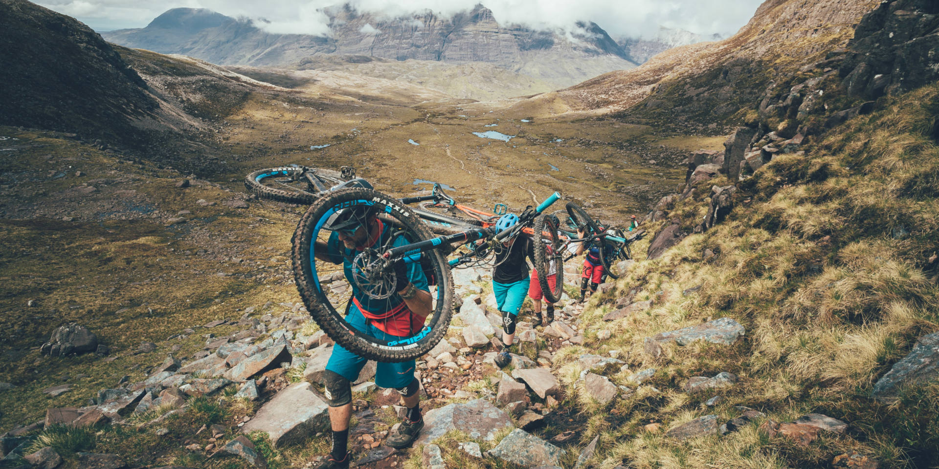 Into the wild Credit TREV WORSEY