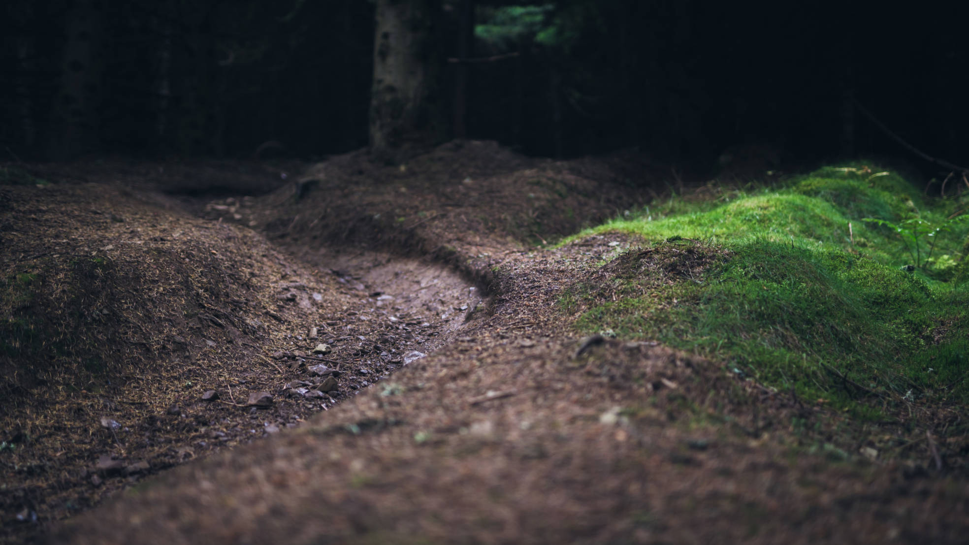 Unauthorised trails MTB guidance Credit Trev Worsey
