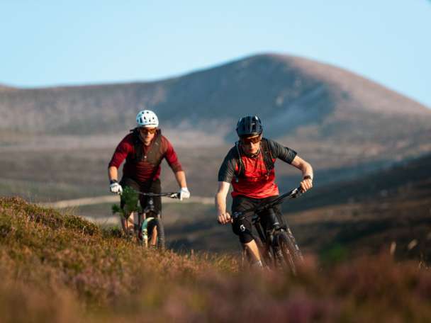 Cairngorms Scotty