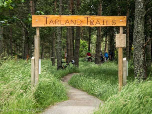 Tarland 2