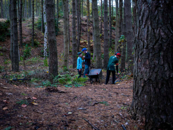 Trail Wild MTB 9