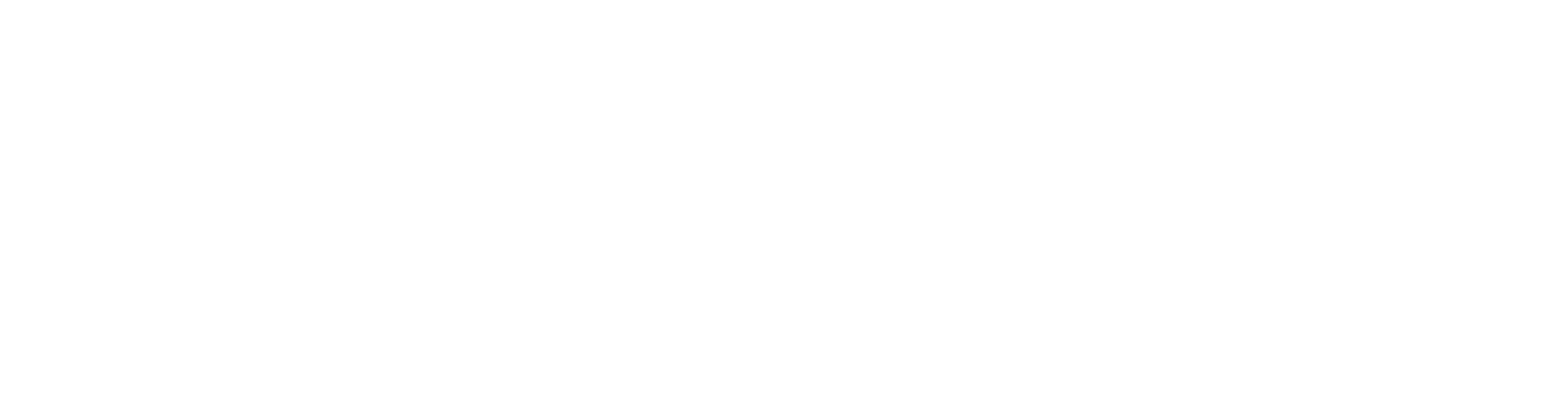 Alpine Bikes Logo Reversed