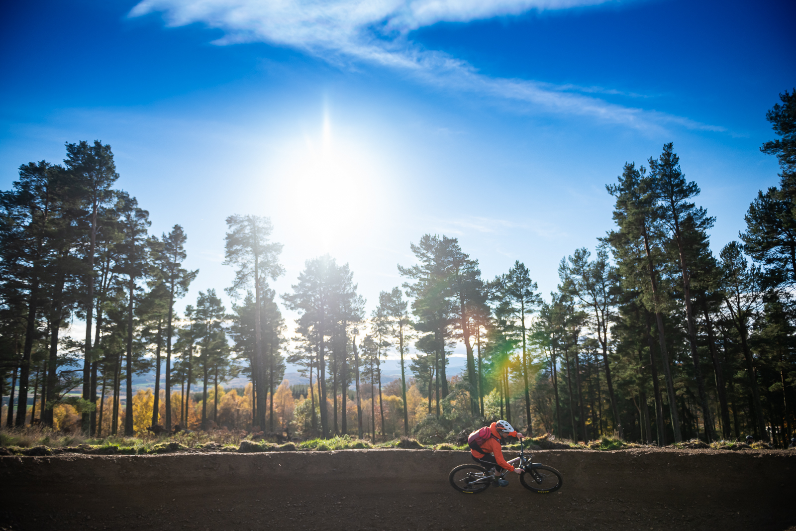 TT Berm