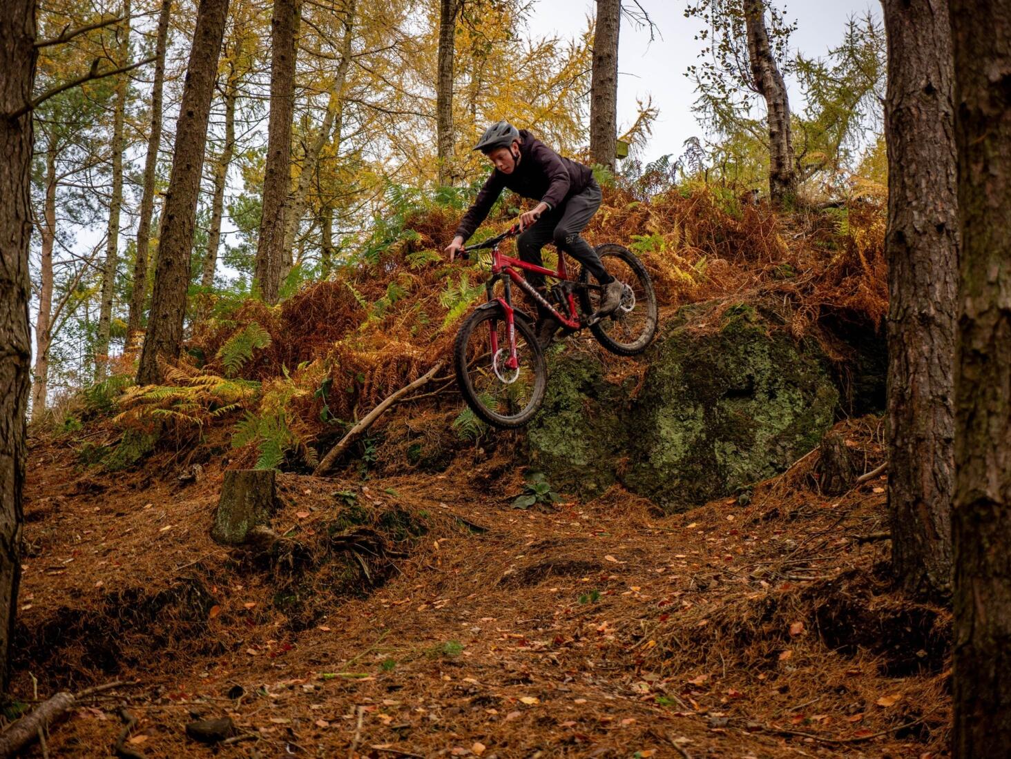Trail wild 6