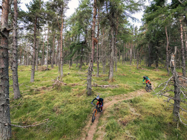NEAT aberdeenshire day 2 fanderson 003